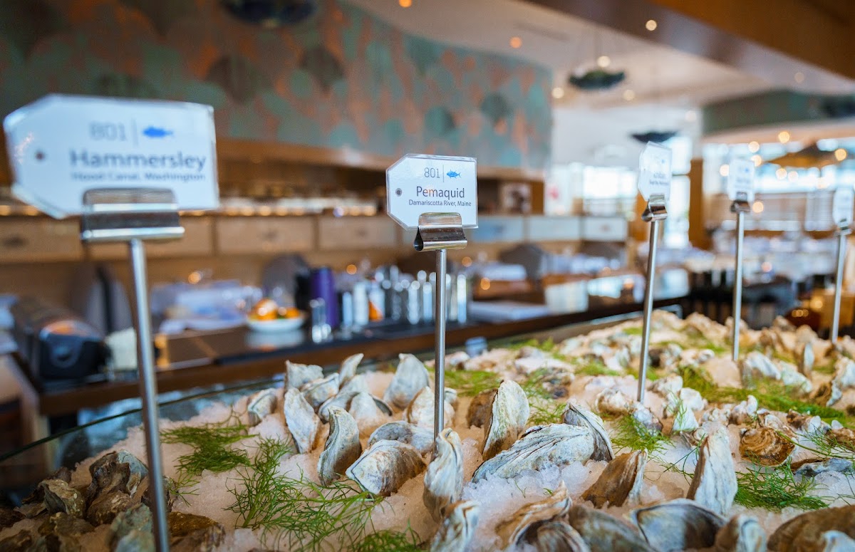 801 Fish Minneapolis